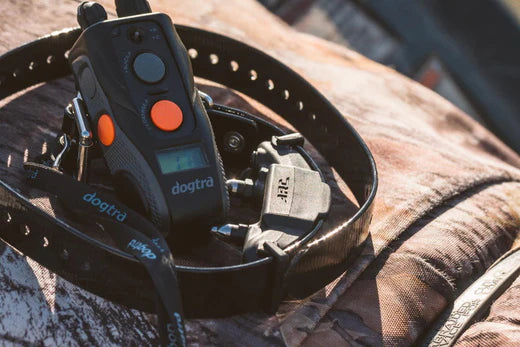 NICK, CONSTANT, OR PAGER....WHICH BUTTON SHOULD YOU USE? (PART 2)
